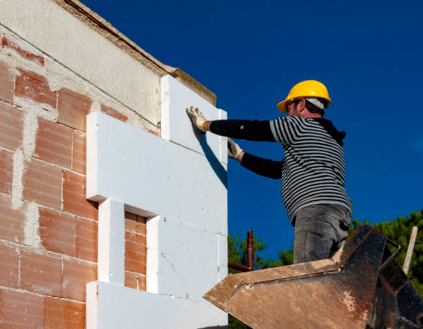 Best Garage Insulation Installation  in Hemby Bridge, NC