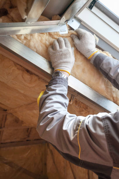 Best Local Insulation Services  in Hemby Bridge, NC