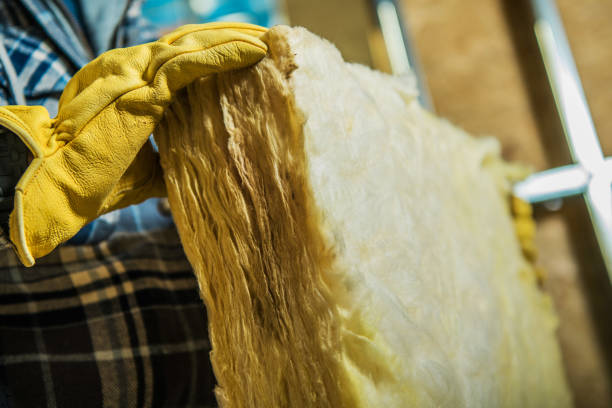 Best Insulation Contractors for Homes  in Hemby Bridge, NC