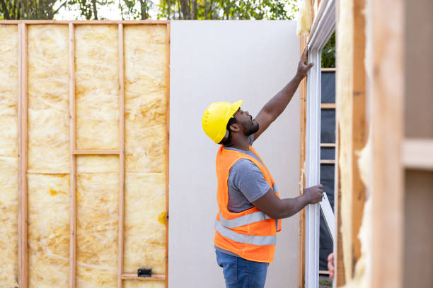 Best Insulation Removal Services  in Hemby Bridge, NC