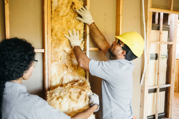 Insulation Replacement Services in Hemby Bridge, NC