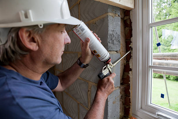 Best Home Insulation Services  in Hemby Bridge, NC