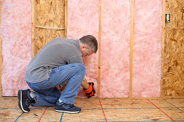 Best Crawl Space Insulation  in Hemby Bridge, NC