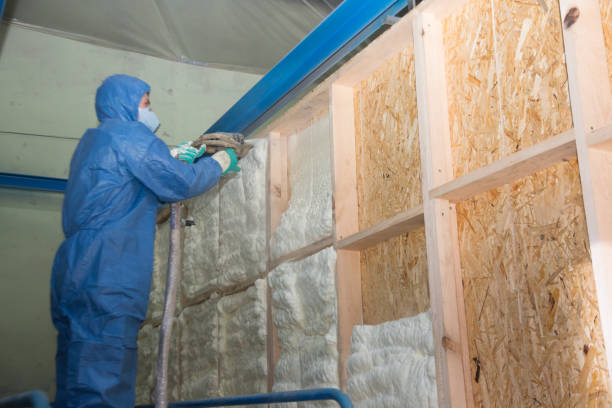 Best Spray Foam Insulation  in Hemby Bridge, NC