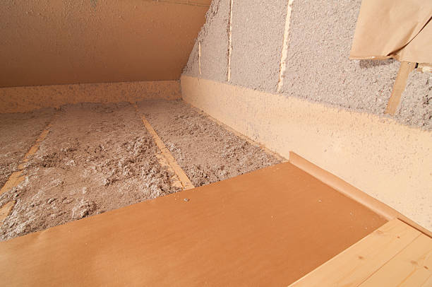 Best Professional Insulation Contractor  in Hemby Bridge, NC