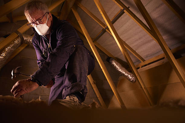 Best Commercial Insulation Contractor  in Hemby Bridge, NC